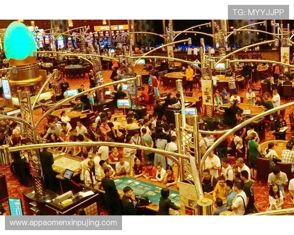 下载新葡京娱乐app下载享受安全稳定的线上博彩体验和多样化的娱乐选择