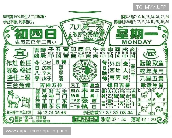 六合彩数字站常见问题解答与使用技巧，帮助新手快速上手赢大奖