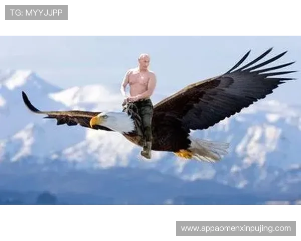 新普京在线娱乐官网下载官方平台，保障账号安全与快速登录的完整操作流程